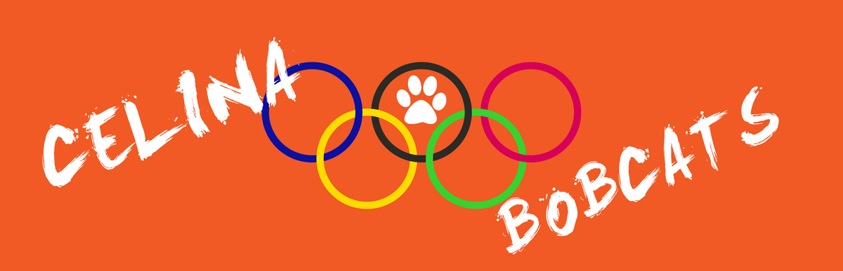 Special Olympics